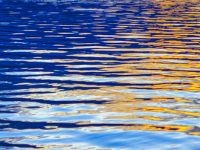 上海今年治水方案出爐：副市長當淀山湖湖長，蘇州河兩岸打通63處斷點