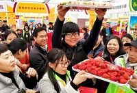 鄉村觀察 | 智利櫻桃,澳洲臍橙,新西蘭獼猴桃……上海農產品何時冒出國際范兒 鄉村觀察 | 智利櫻桃,澳洲臍橙,新西蘭獼猴桃……上海農產品何時冒出國際范兒