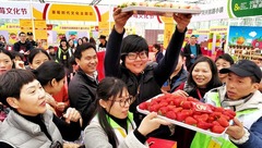 鄉村觀察 | 智利櫻桃，澳洲臍橙，新西蘭獼猴桃……上海農產品何時冒出國際范兒