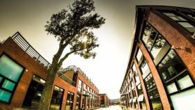 王雷：文創園要有文化內涵和外延