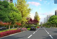 揭秘中春路：“4改6”、“白改黑”……年底告別“堵車又堵心”