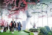 中國第一高樓長出了一片“桃花源”?原來這朵“桃花”一直在你心里