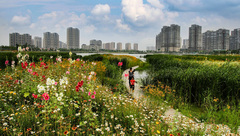 戲一起聽、展一起看、街一起逛,嘉定和周邊城市上演“雙城記” 戲一起聽、展一起看、街一起逛,嘉定和周邊城市上演“雙城記”