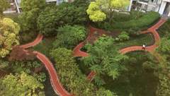 普陀區力爭建成累計50公里居民區步道：一條步道足以改變一個老小區居民生活方式