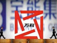 萬科兩任獨董再評“萬寶之爭” 前任大股東華潤“意外”躺槍