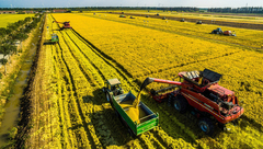 “世界級選手”又來了！“中荷農業與食品研究院”今落戶崇明