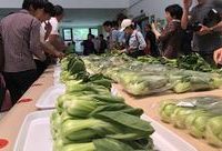 小小一株青菜，可以品出28種滋味？上海舉行首屆優質青菜品鑒會