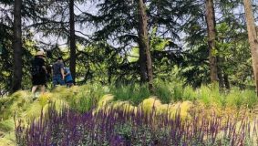 上海這片曾被國務院掛牌督辦的區域,如今變身中環邊的“海綿城市” 上海這片曾被國務院掛牌督辦的區域,如今變身中環邊的“海綿城市”