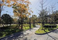 徐匯 | 又一超大綠地“即將”要開放，無需遠足一樣養眼洗肺！