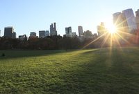 浦東 | 這里將建70萬平方米的科教園區！文化型新城鎮，期待嗎？