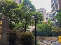 上海首個業委會主任聯誼會5歲了，這樣的模式能復制更多嗎