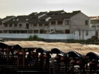 再見,上海的“鄉村小洋樓”! 再見,上海的“鄉村小洋樓”!