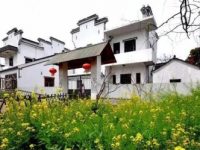 首個“民宿群”快要開業了，就在黃浦江畔、郊野公園內