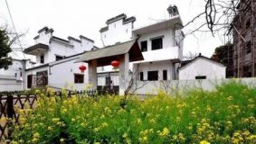 首個“民宿群”快要開業了，就在黃浦江畔、郊野公園內