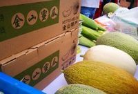 在最近的全國西甜瓜大賽上,上海金山農民種的“西州蜜”獲得了冠軍 在最近的全國西甜瓜大賽上,上海金山農民種的“西州蜜”獲得了冠軍