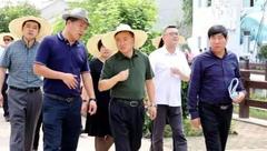 浦東|翁祖亮:把調研會變成現場會,把難題變課題 浦東|翁祖亮:把調研會變成現場會,把難題變課題