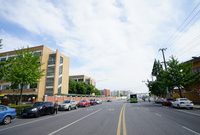 徐匯 | 投資1.1億！這條路改造在即