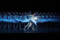 48只“天鵝”讓觀眾沸騰,寶山今年將上演十場經典芭蕾 48只“天鵝”讓觀眾沸騰,寶山今年將上演十場經典芭蕾