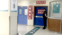 精準對接學科,奉賢區探索“教聯體”提升區域綜合實力 精準對接學科,奉賢區探索“教聯體”提升區域綜合實力