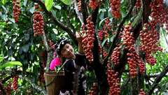 黃浦·云南普洱扶貧協作文化活動周在大世界啟幕 黃浦·云南普洱扶貧協作文化活動周在大世界啟幕