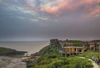 奉賢往南12海里有座灘滸島,那里鳥語花香,乘船只要一小時…… 奉賢往南12海里有座灘滸島,那里鳥語花香,乘船只要一小時……