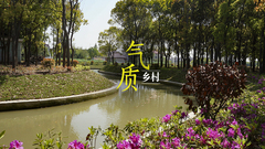 尋找氣質鄉村 | 寶山塘灣村：散發著樸樹《白樺林》氣息，能吸引年輕人來“治愈”嗎