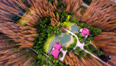 崇明“申博”成功！這個規格最高的博覽會將成為生態島建設抓手，市政府常務會部署