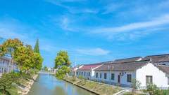 奉賢三年拆除違建占全市總量13%，下半年重點聚焦“三線”區域持續推進不松懈