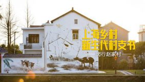 閔行有個“臭脾氣”村支書，兩個月拆違14萬平米，村民卻把他當成主心骨