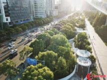 世紀大道綠化升級全方位美顏 設立八個主題公園