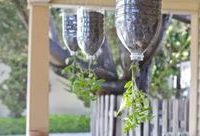 瓶子菜園，這個社區的環保迷你種植方式有沒有“治愈”你