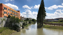 “河道的問題，大熱天里看得最真切！”最近，記者去閔行探訪了一條河