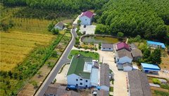 鄉村、老人與田：上海郊外的一片“世外桃源”