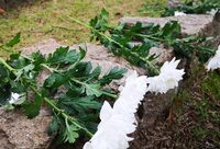 全民族抗戰爆發81周年,上海淞滬抗戰紀念館舉行紀念活動 全民族抗戰爆發81周年,上海淞滬抗戰紀念館舉行紀念活動