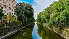 閔行 | 蘇州河越來越“水靈”：4條支流華麗變身、濱江休閑生態走廊初具雛形……