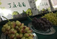 每串不超45粒的葡萄來啦！周邊水果搶灘上海展開同質競爭，地產水果怕了嗎？