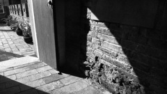 “建筑不夠優秀”的老城廂該保留什么？豫園的老品牌老字號如何叫好又叫座？