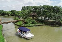 8月1日起，到上海野生動物園坐游船欣賞美麗水鳥和憨厚河馬