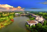 多措并舉精準“治水”，崇明穩步提升水質