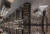 趙麗宏書房在靜安區圖書館“落戶”，王安憶特地為他寫了這樣一段話