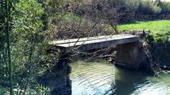 為古橋找回記憶！金山工業區以“一橋一方案”，啟動10座古橋的修護工程