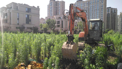 別墅區溢價480萬“私家花園”竟是違建？萬里街道排除萬難拆除800米圍墻