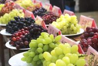 這個展覽下公園、上農展館目的就一個：上海人要給本地水果撐腰！