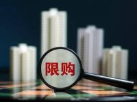 南京發企業限購令打擊炒房客 及時打補丁或成常態