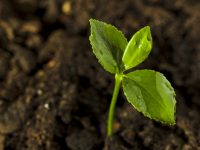 土地流拍創紀錄，這些地方政府可以醒醒了