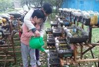 “小區種菜”種出一道風景線,這方法既環保又“治愈”鄉愁 “小區種菜”種出一道風景線,這方法既環保又“治愈”鄉愁