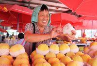 頭頂“國家地理標志”依舊難銷，三問奉賢黃桃，你的春天在哪里？