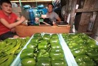 穩價保供措施來了!上海蔬菜集團啟動預案,減免重點綠葉菜進場費用,開辟綠色通道 穩價保供措施來了!上海蔬菜集團啟動預案,減免重點綠葉菜進場費用,開辟綠色通道