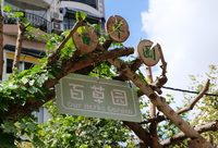 上海市區居然有這么多菜園?小區種菜該不該一味禁止 上海市區居然有這么多菜園?小區種菜該不該一味禁止