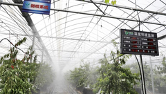 全國微灌大會在滬舉行，金山這個基地的高效節水灌溉技術引發關注